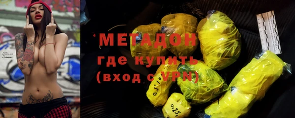 дживик Ельня