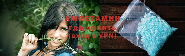 дживик Ельня