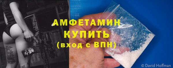 дживик Ельня