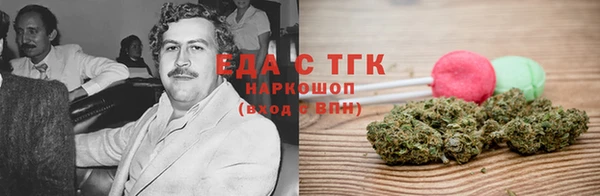 дживик Ельня