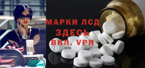дживик Ельня