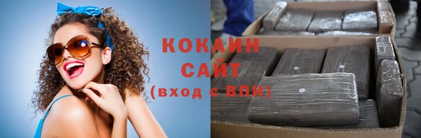 дживик Ельня