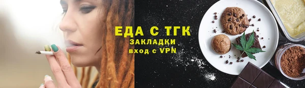 дживик Ельня