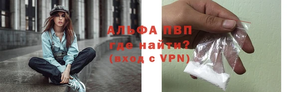 дживик Ельня