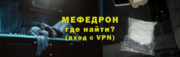 дживик Ельня