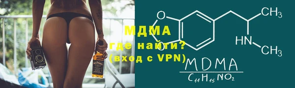дживик Ельня