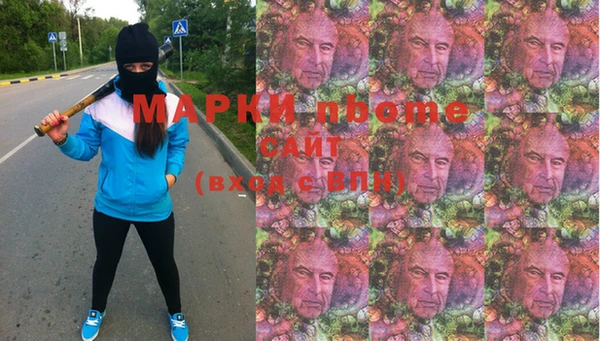 дживик Ельня