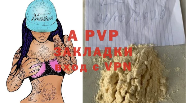 дживик Ельня