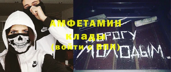 дживик Ельня