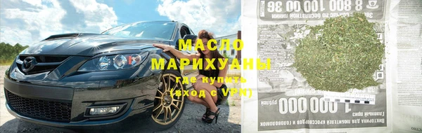 дживик Ельня