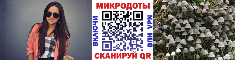 Псилоцибиновые грибы ЛСД  Злынка 