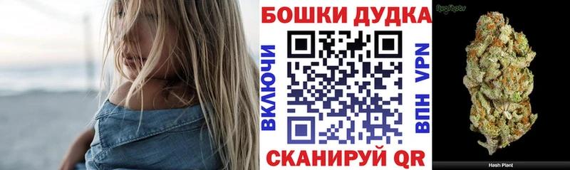 Марихуана планчик  где купить наркоту  omg   Злынка 