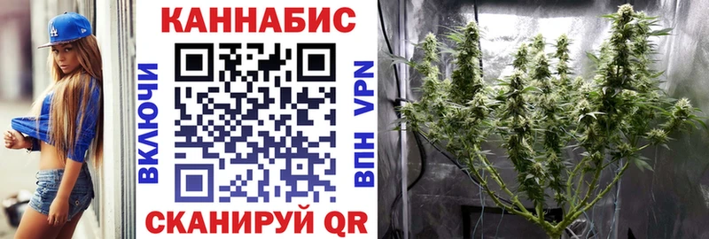 Бошки Шишки марихуана Злынка